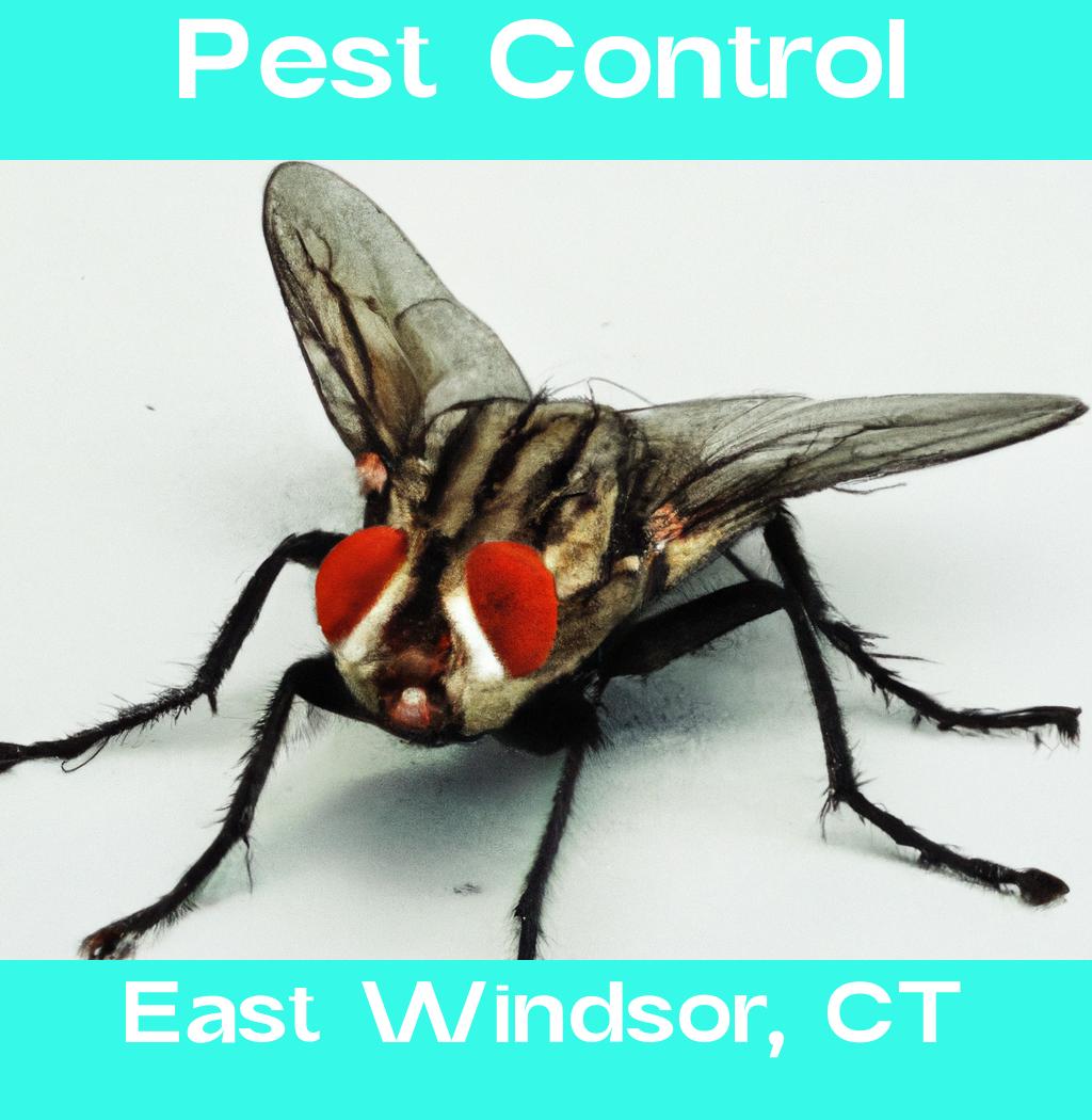 pest control in East Windsor Connecticut