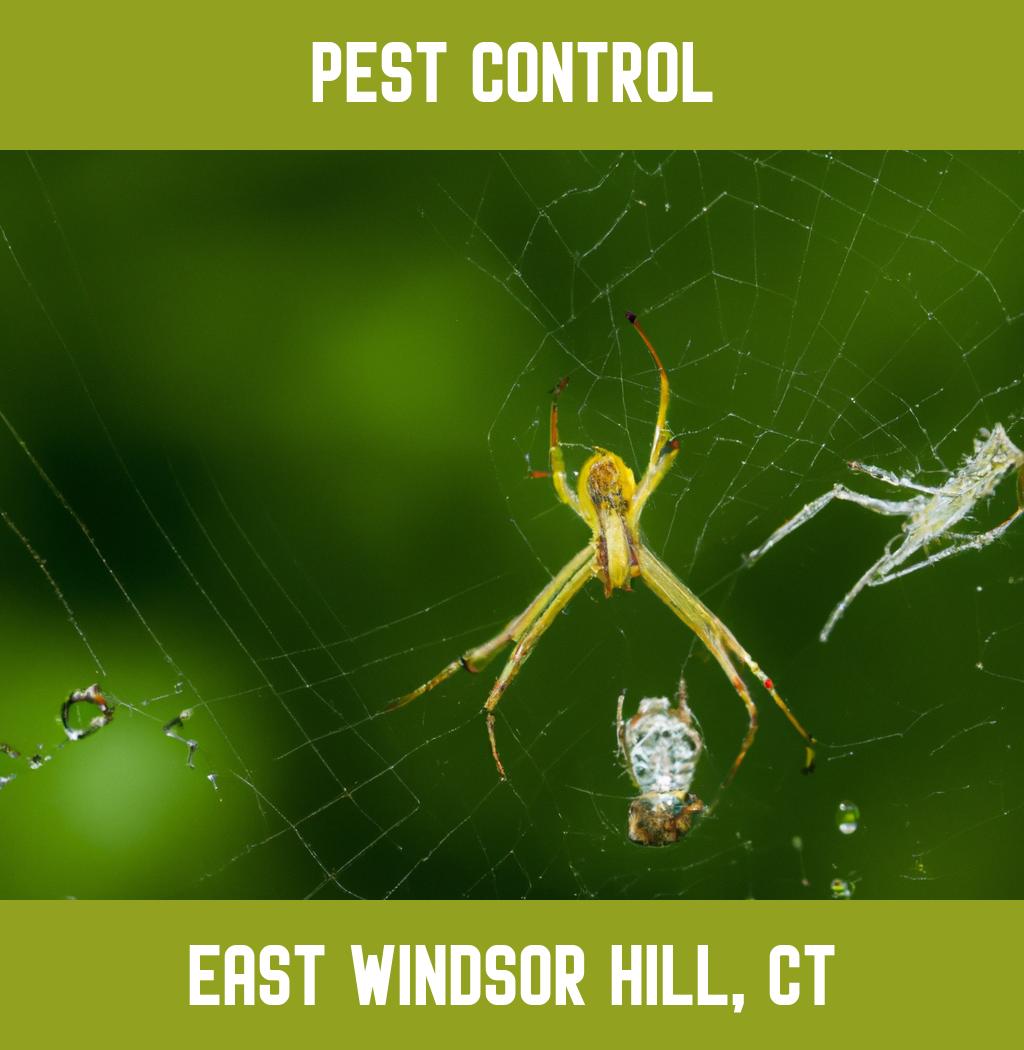pest control in East Windsor Hill Connecticut