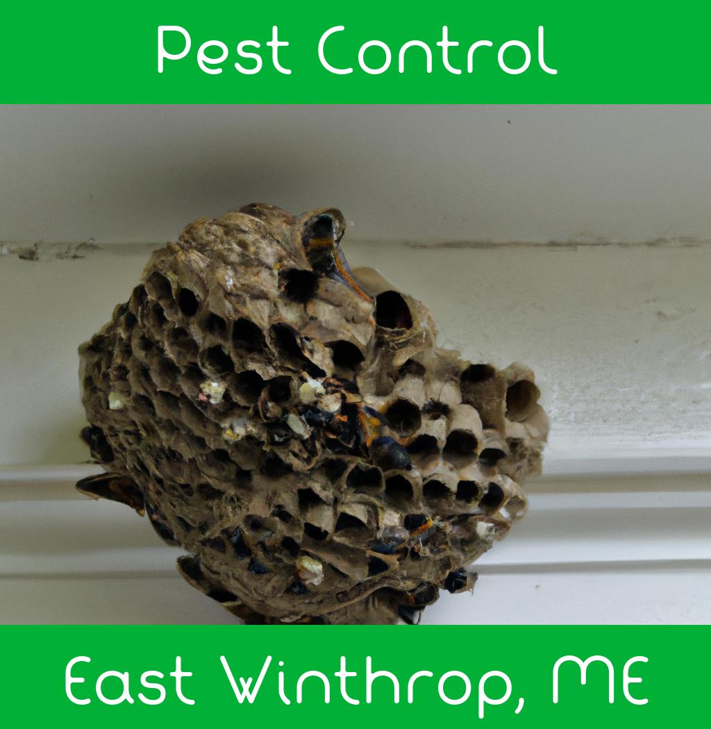 pest control in East Winthrop Maine