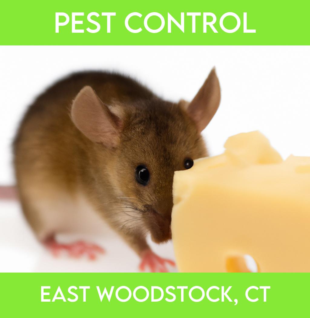 pest control in East Woodstock Connecticut