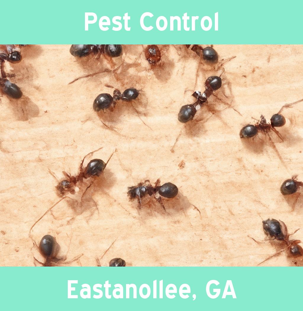 pest control in Eastanollee Georgia