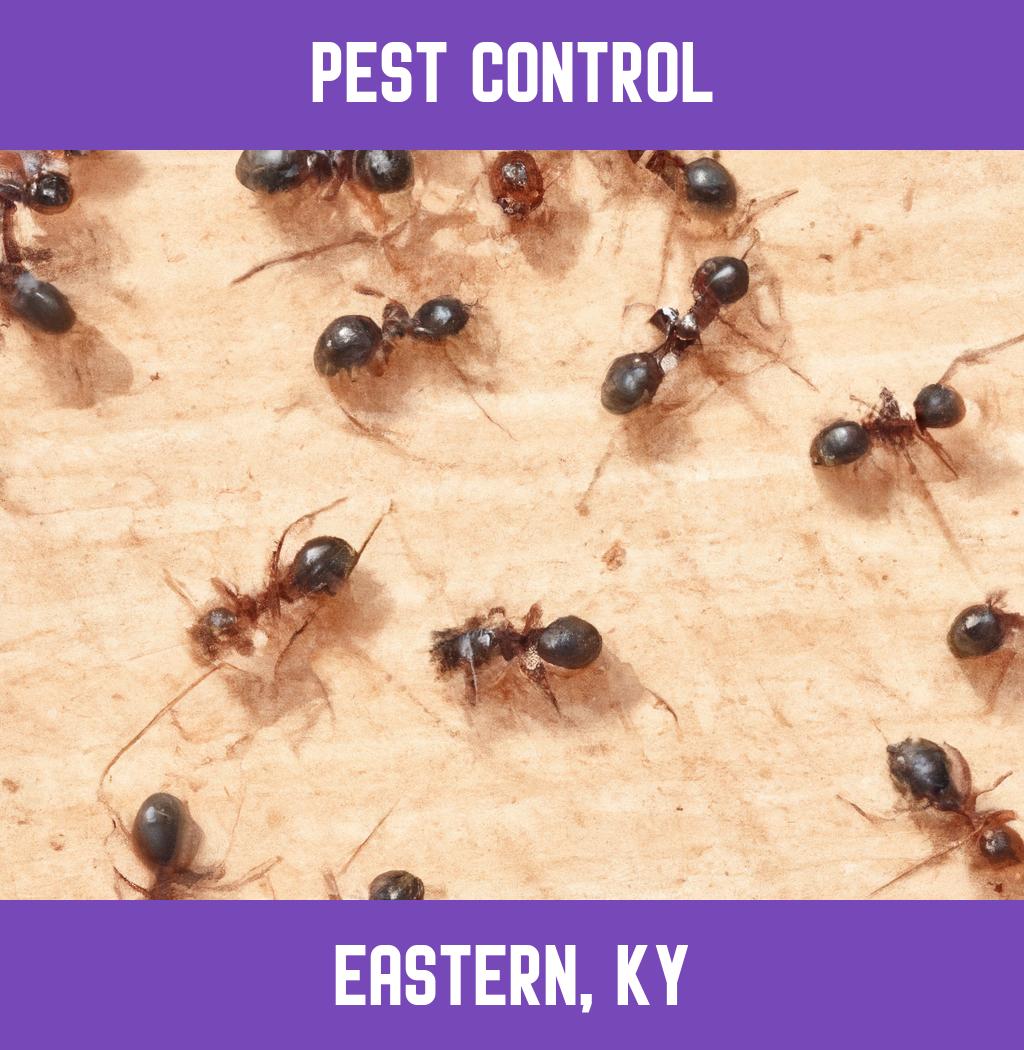 pest control in Eastern Kentucky