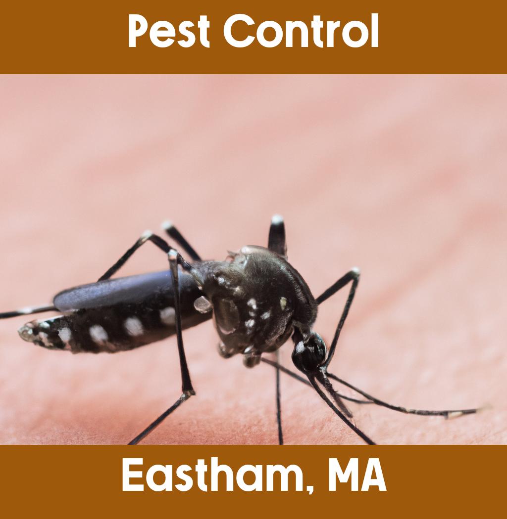 pest control in Eastham Massachusetts