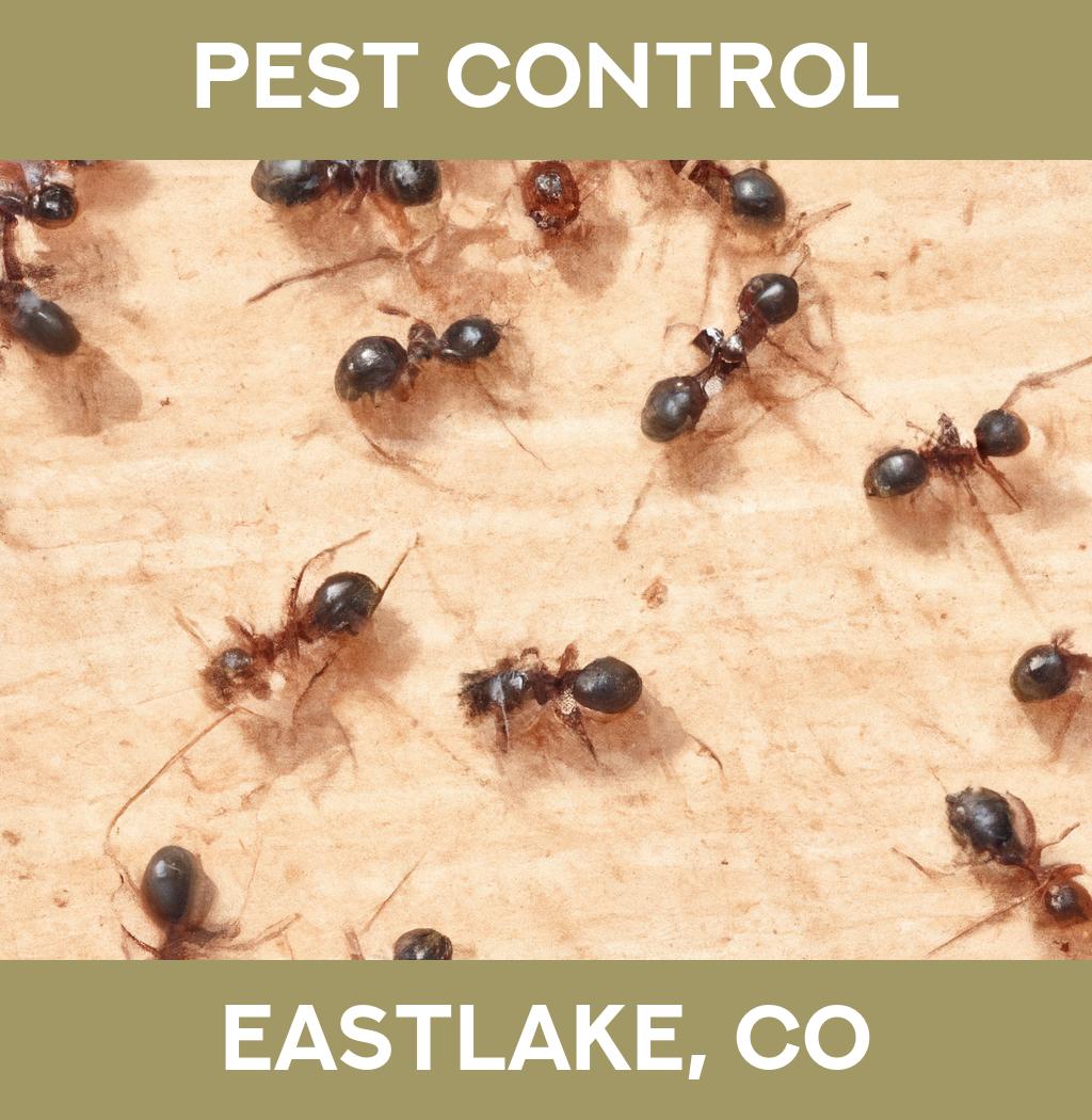 pest control in Eastlake Colorado