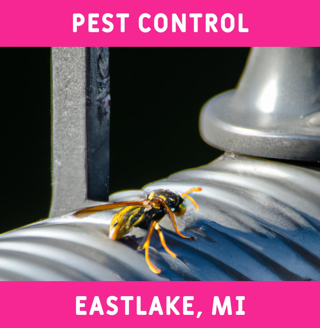 pest control in Eastlake Michigan
