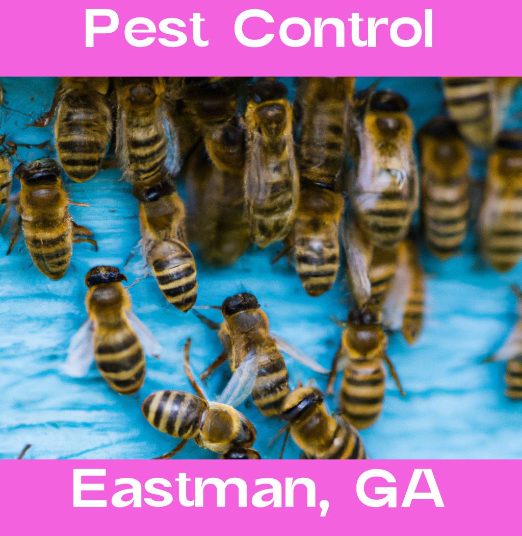 pest control in Eastman Georgia