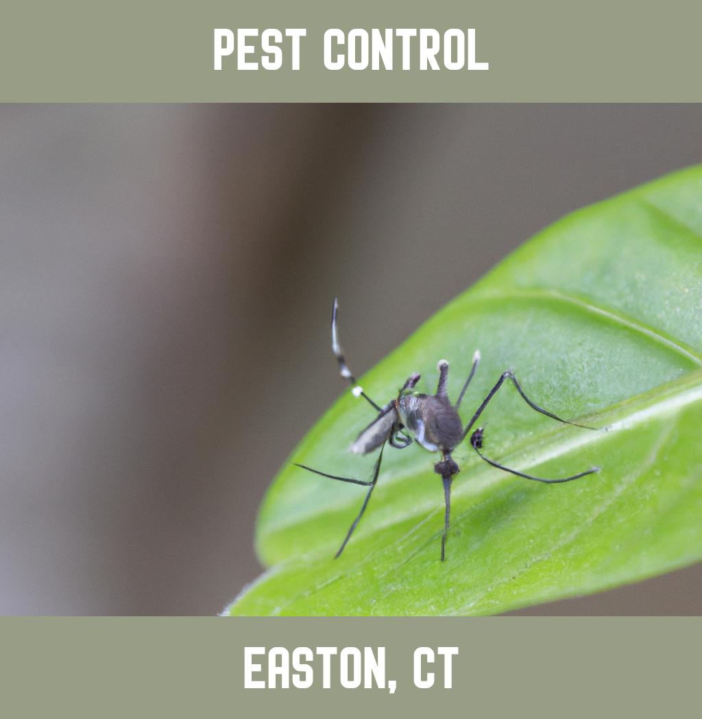 pest control in Easton Connecticut