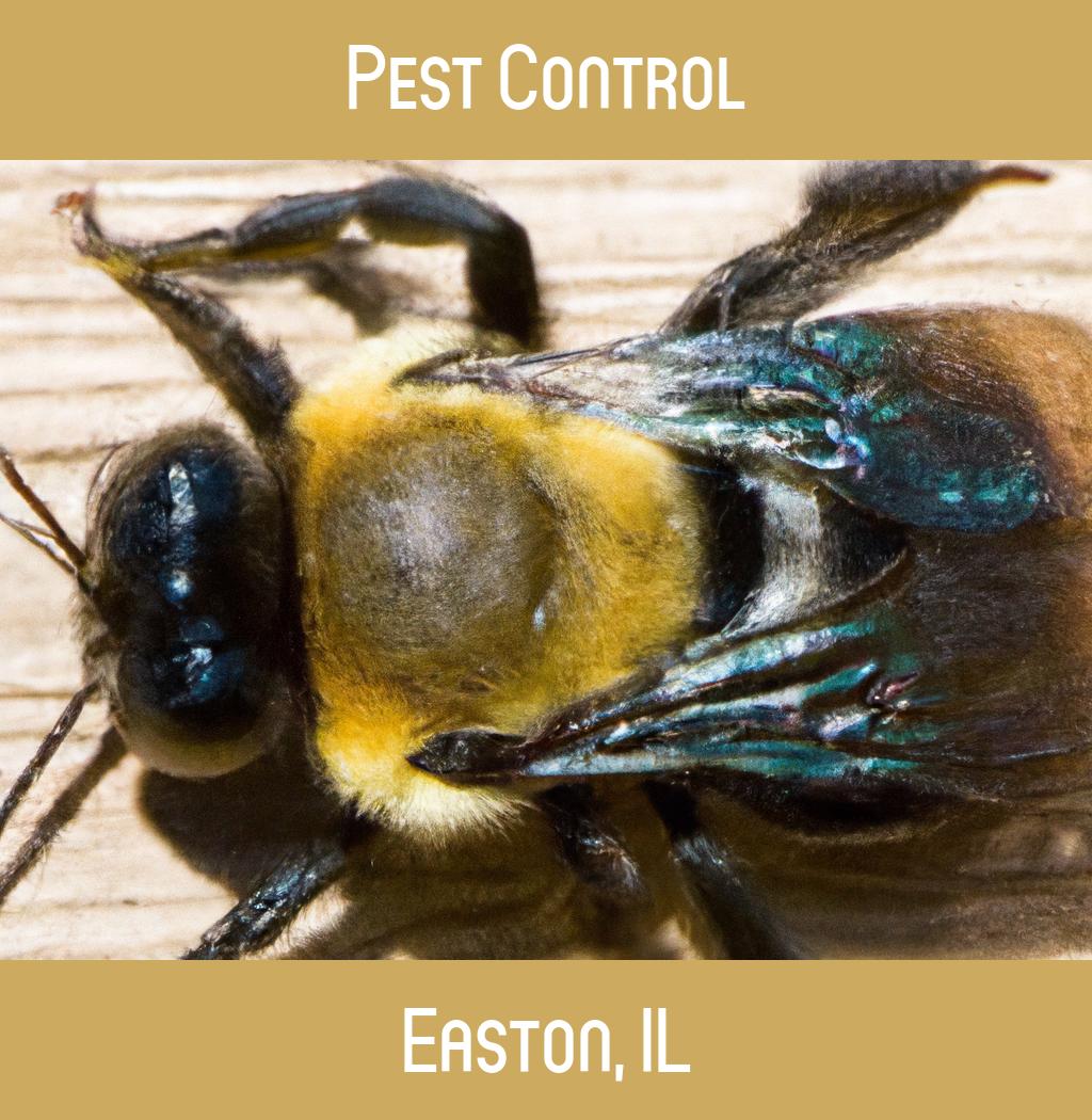 pest control in Easton Illinois