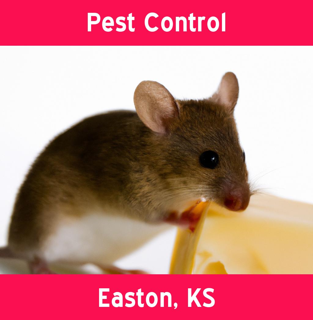 pest control in Easton Kansas