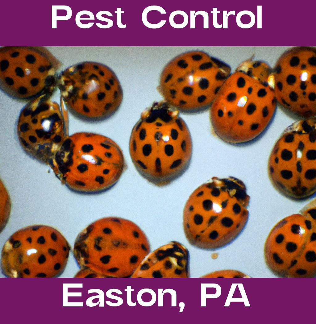 pest control in Easton Pennsylvania