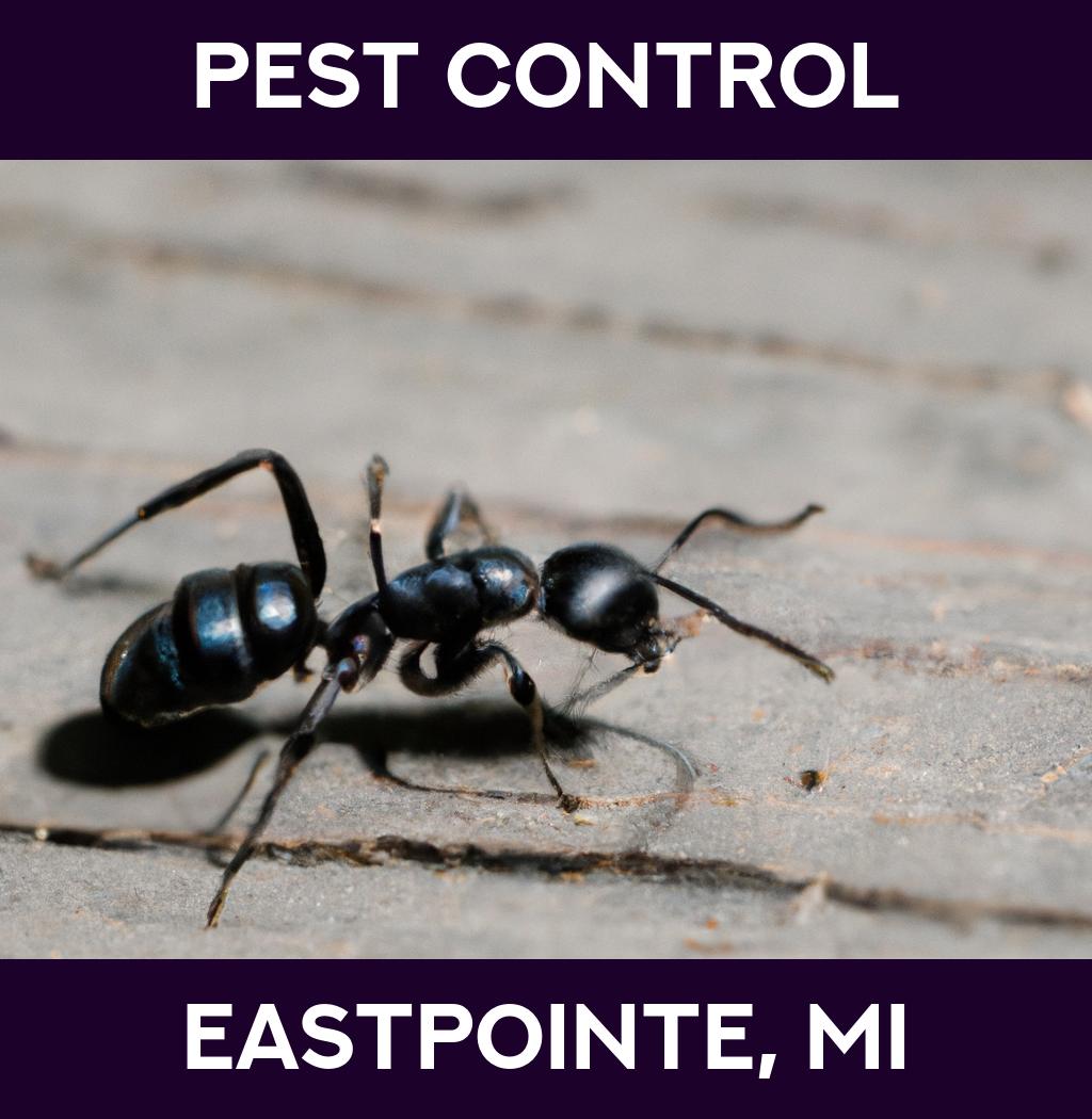 pest control in Eastpointe Michigan