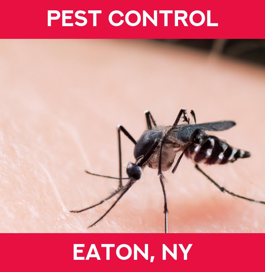 pest control in Eaton New York