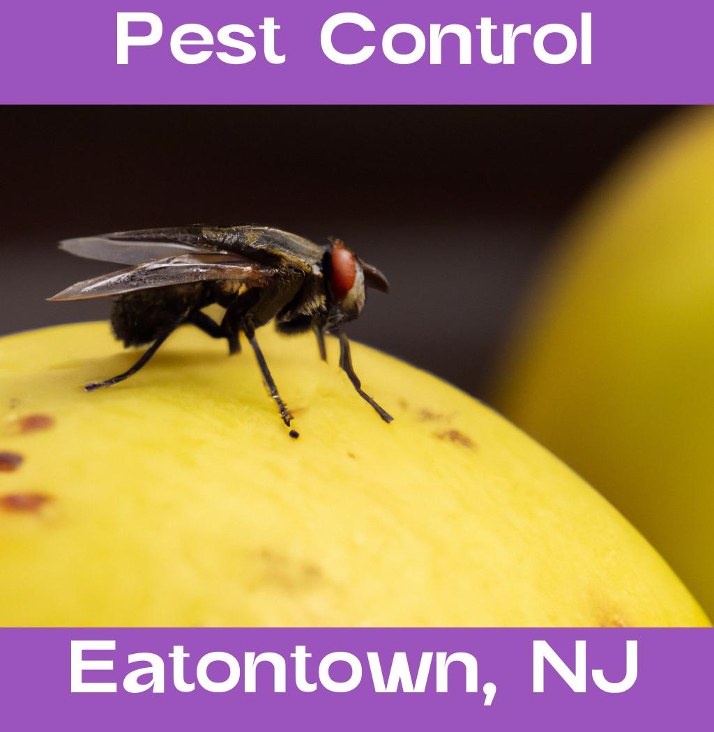 pest control in Eatontown New Jersey