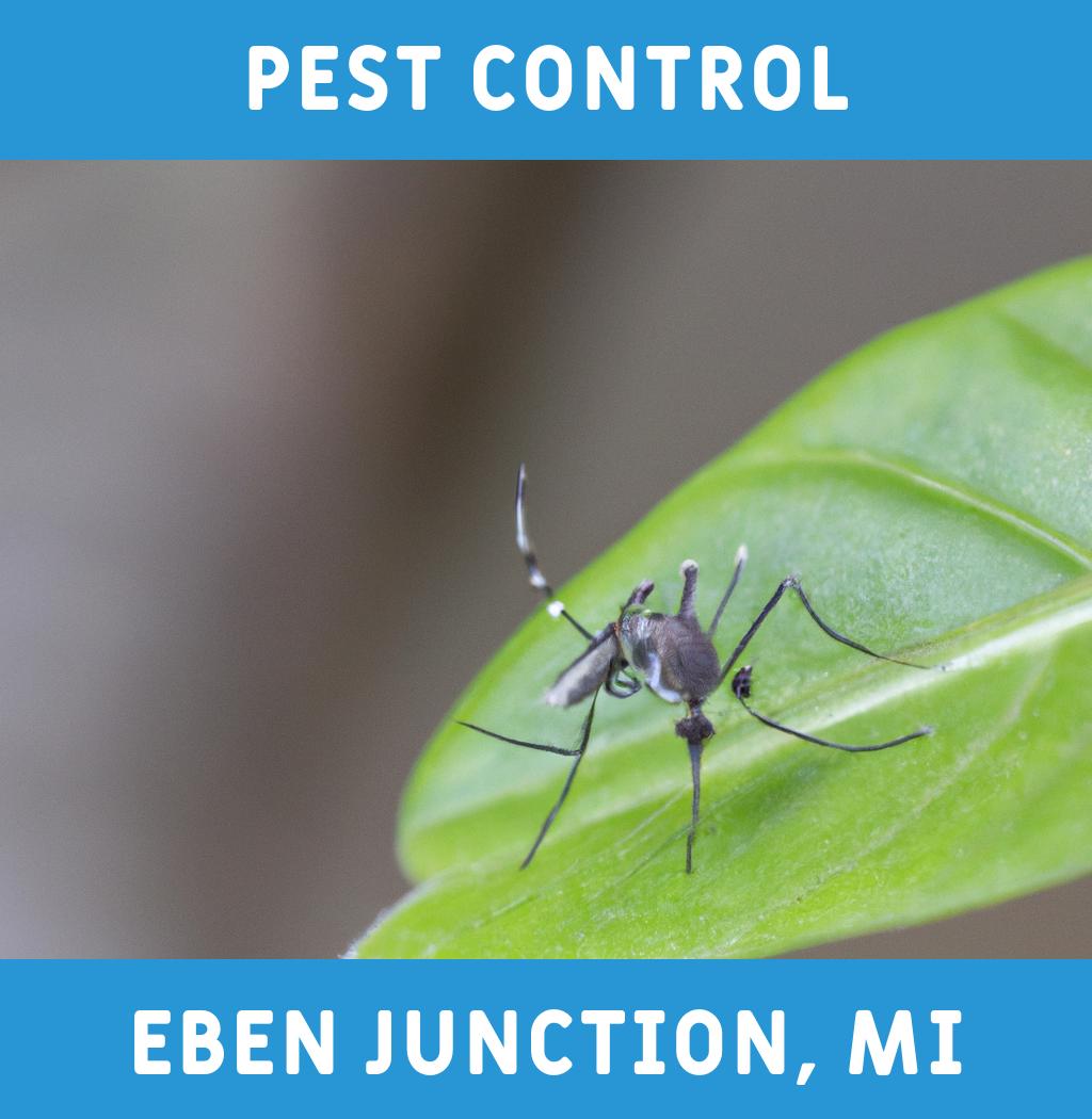 pest control in Eben Junction Michigan