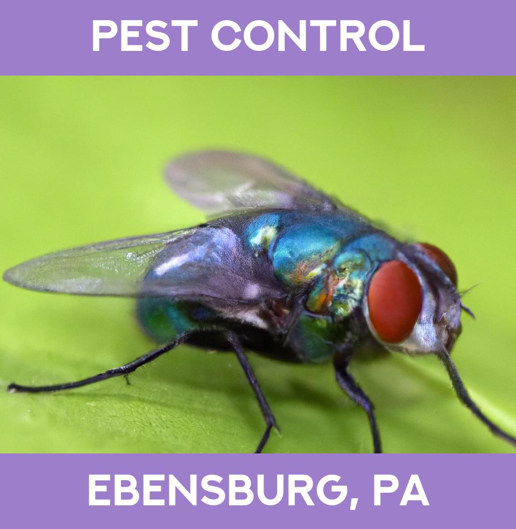 pest control in Ebensburg Pennsylvania