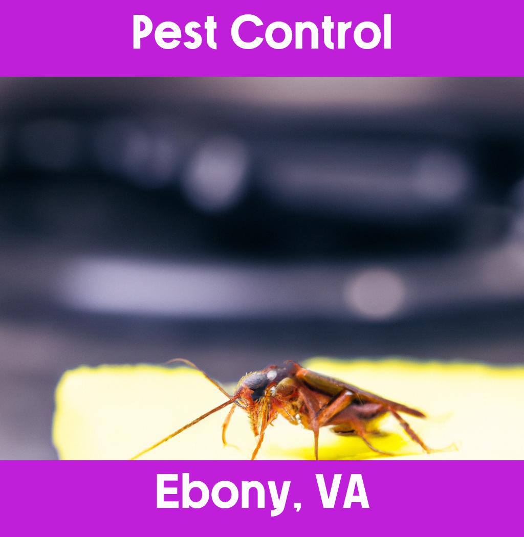 pest control in Ebony Virginia