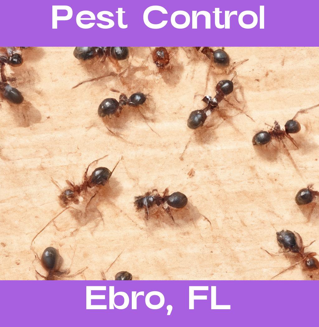 pest control in Ebro Florida