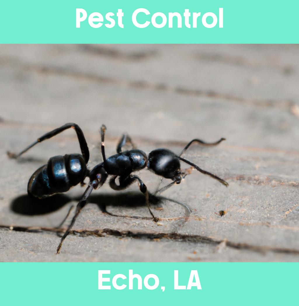 pest control in Echo Louisiana