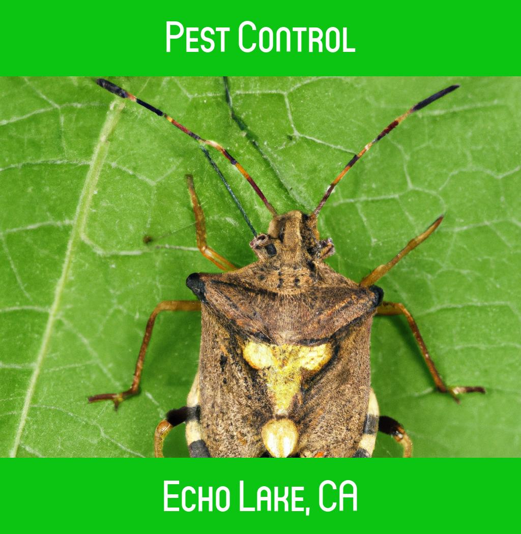pest control in Echo Lake California