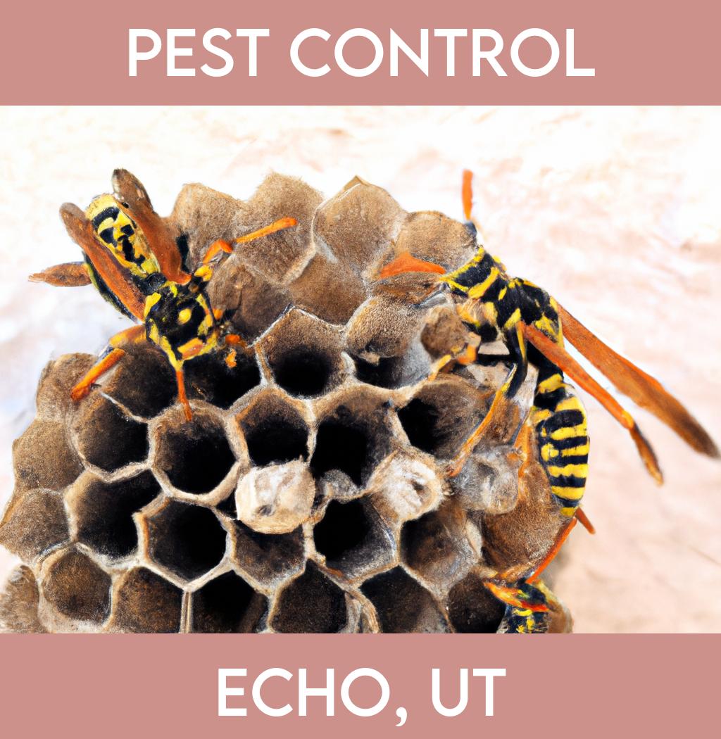 pest control in Echo Utah
