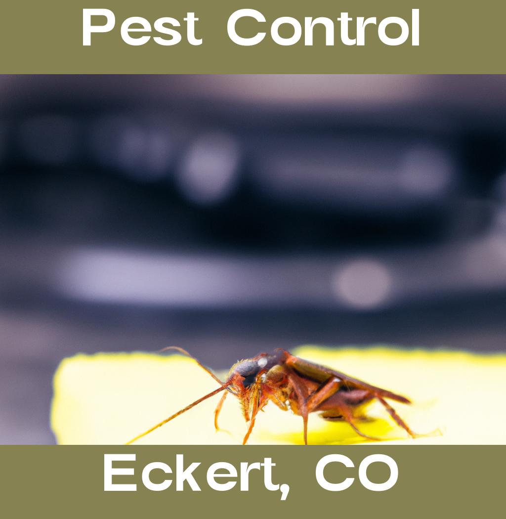 pest control in Eckert Colorado