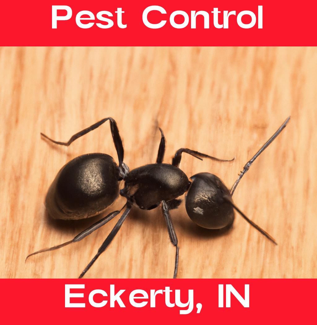 pest control in Eckerty Indiana