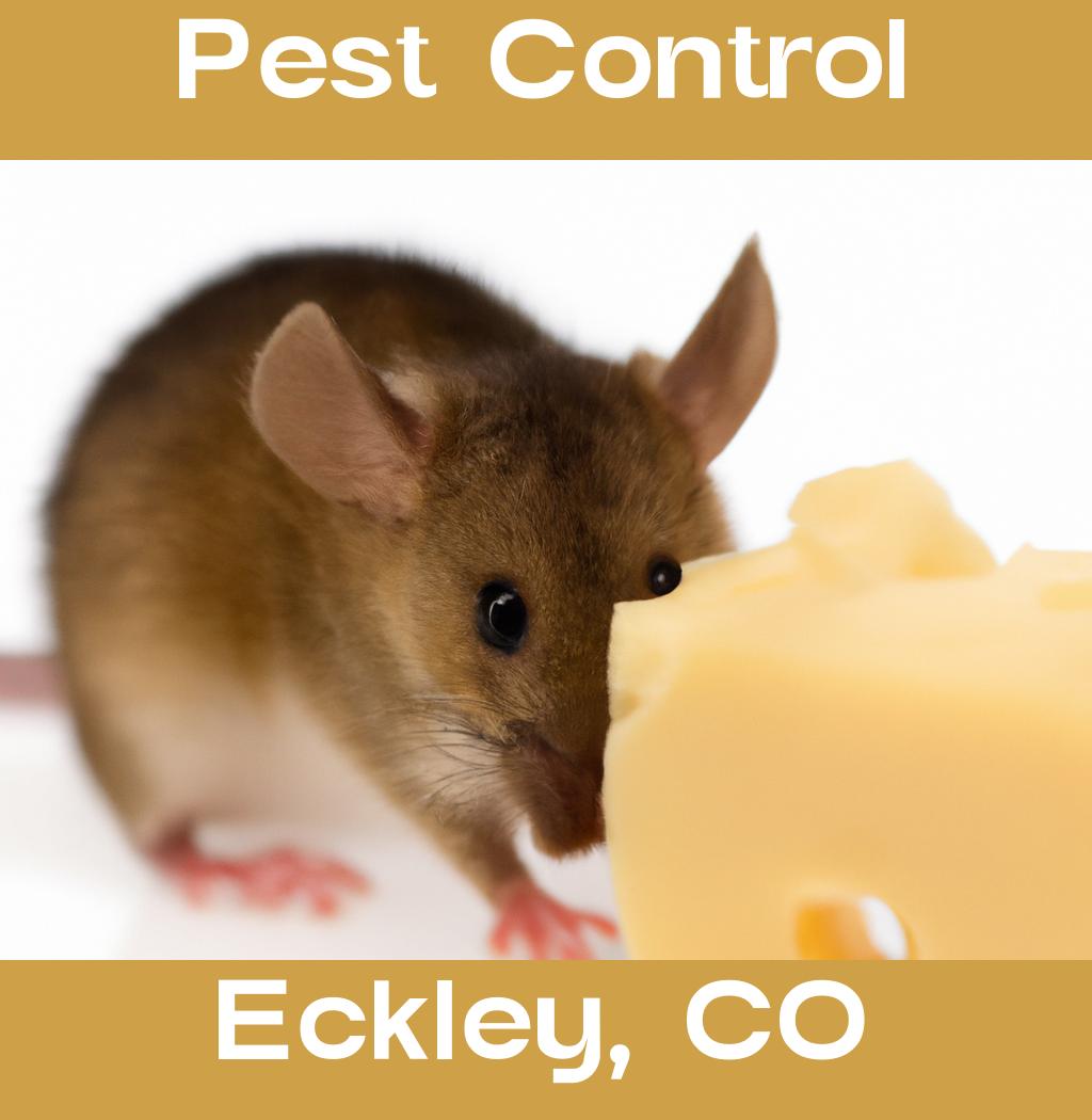 pest control in Eckley Colorado