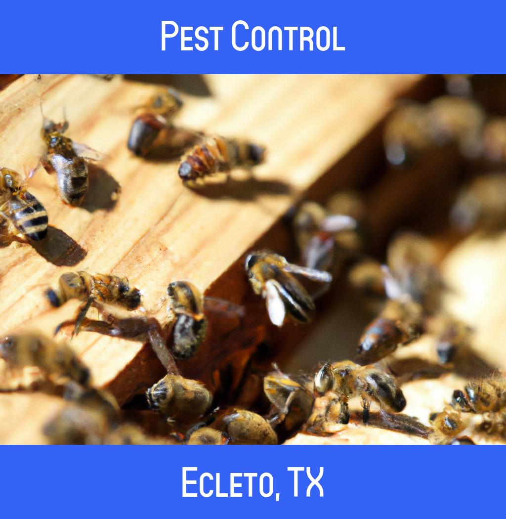 pest control in Ecleto Texas