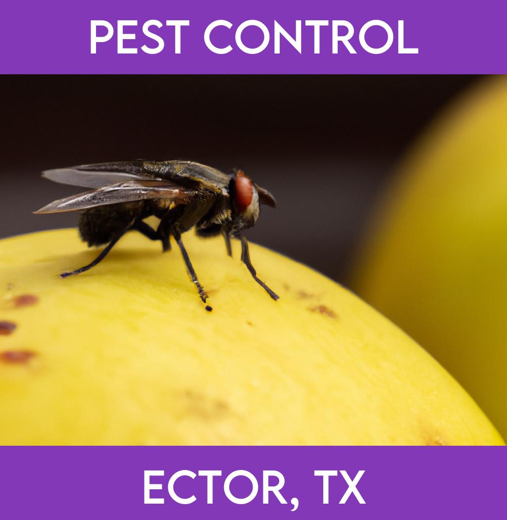 pest control in Ector Texas