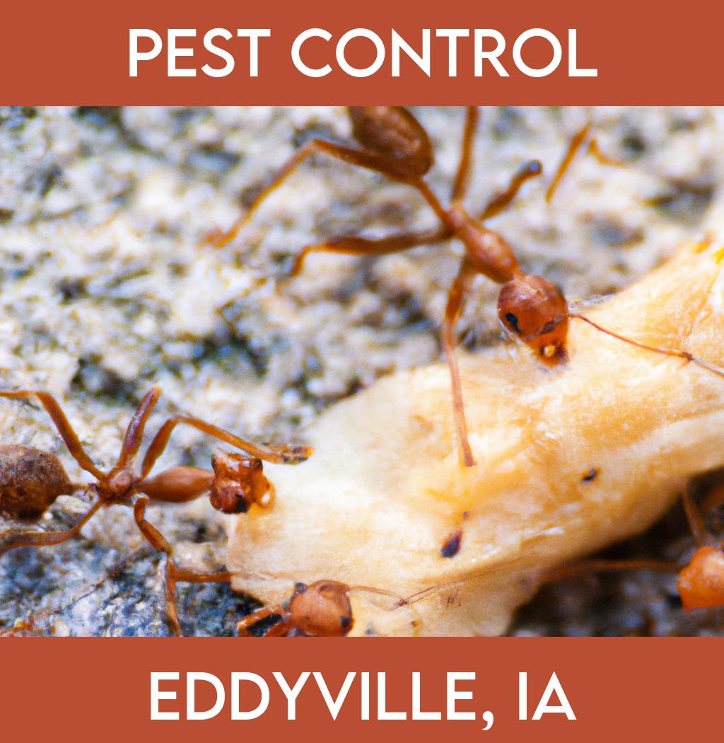 pest control in Eddyville Iowa