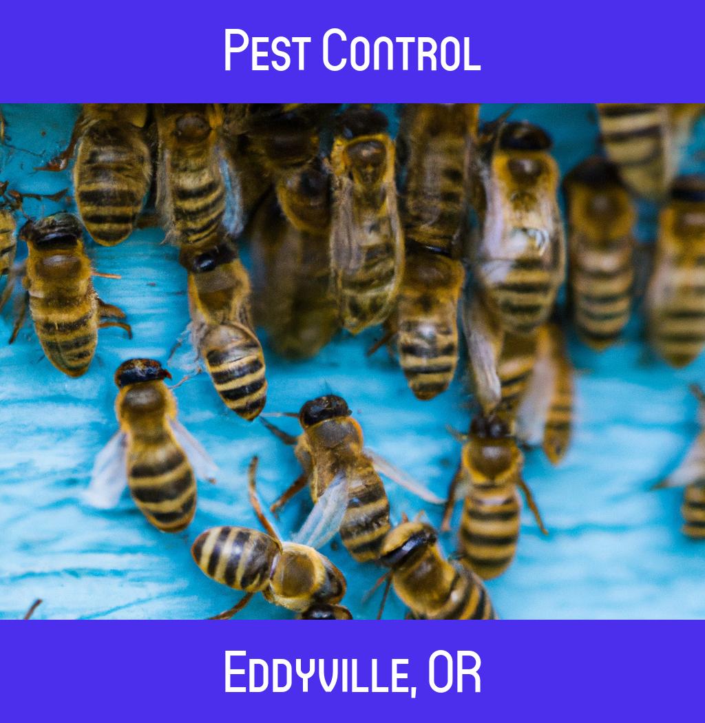 pest control in Eddyville Oregon