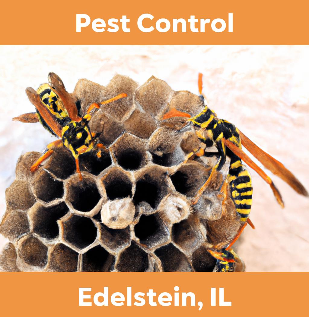 pest control in Edelstein Illinois