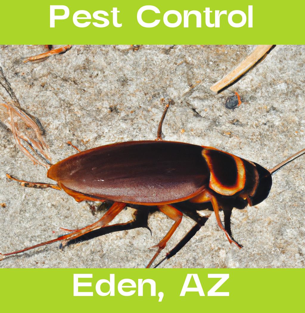 pest control in Eden Arizona