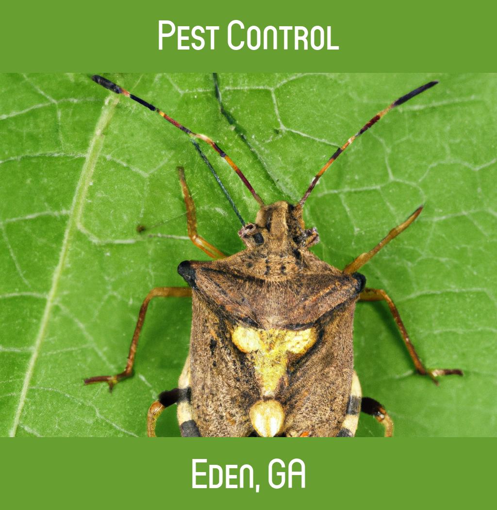 pest control in Eden Georgia