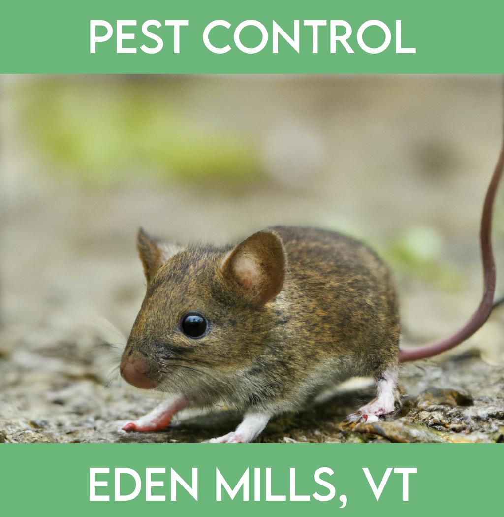 pest control in Eden Mills Vermont