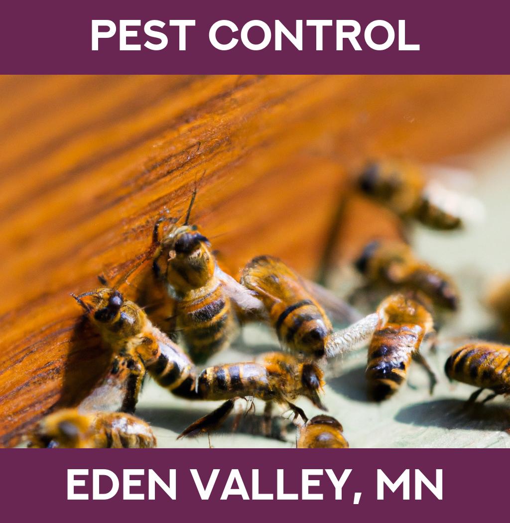 pest control in Eden Valley Minnesota