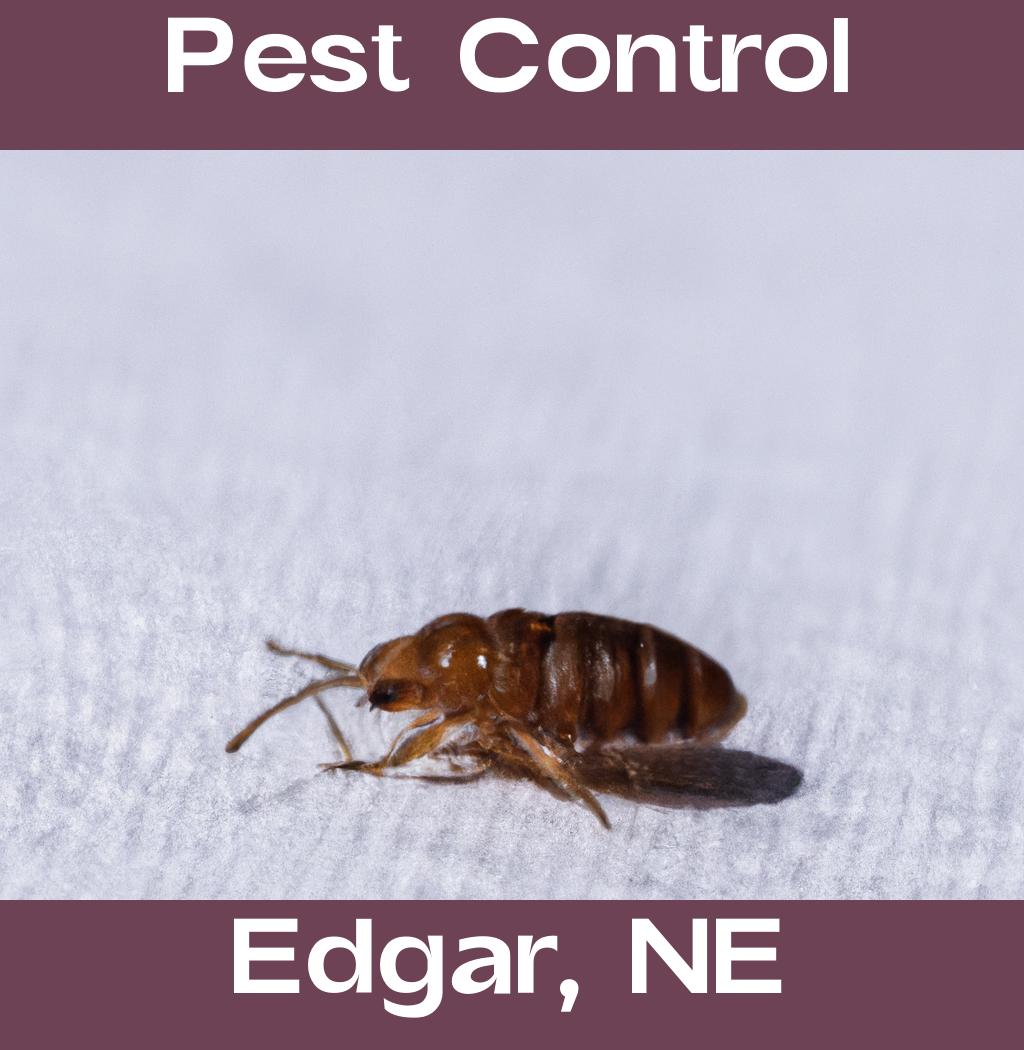 pest control in Edgar Nebraska