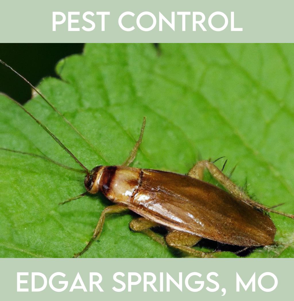 pest control in Edgar Springs Missouri