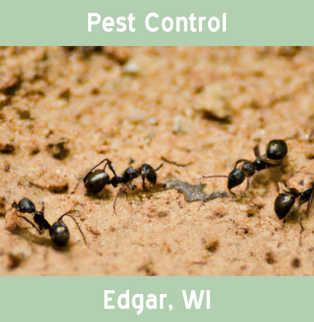 pest control in Edgar Wisconsin