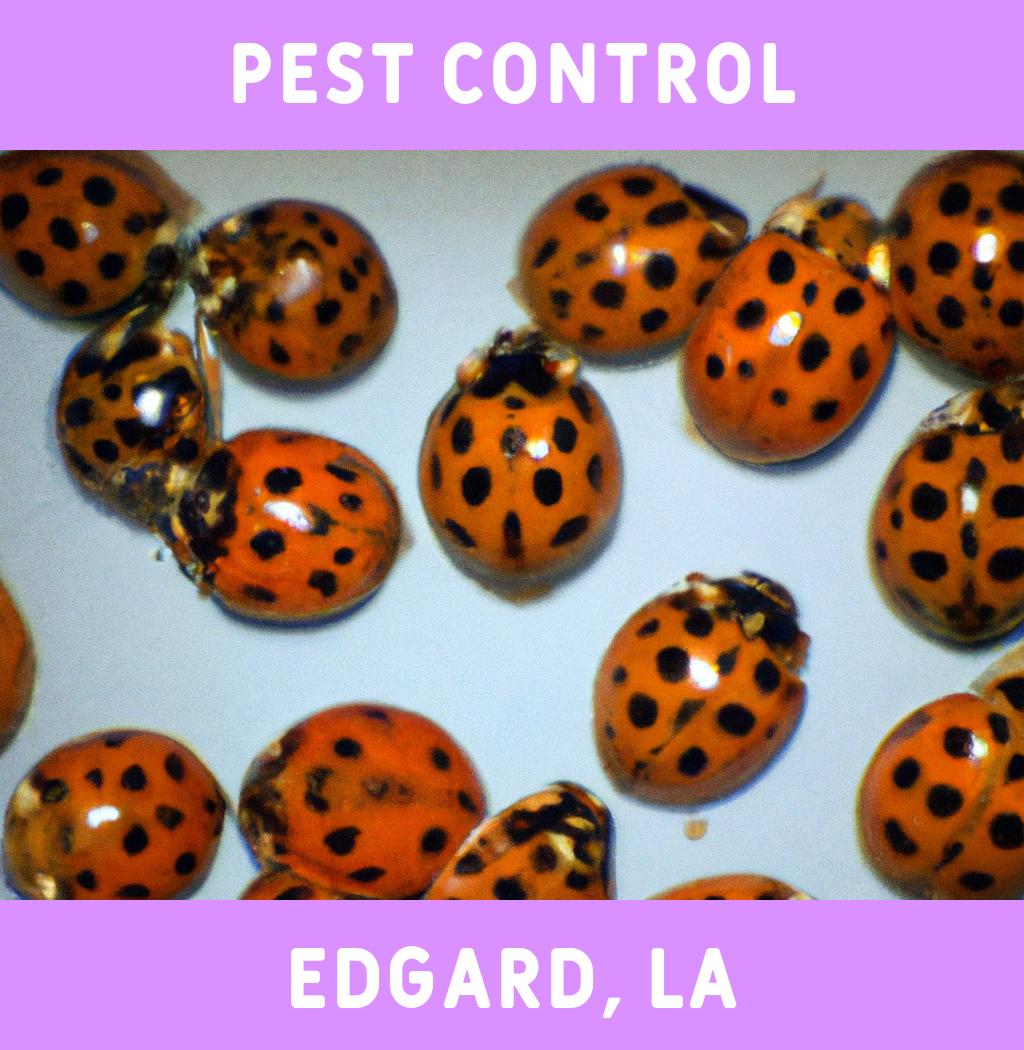 pest control in Edgard Louisiana