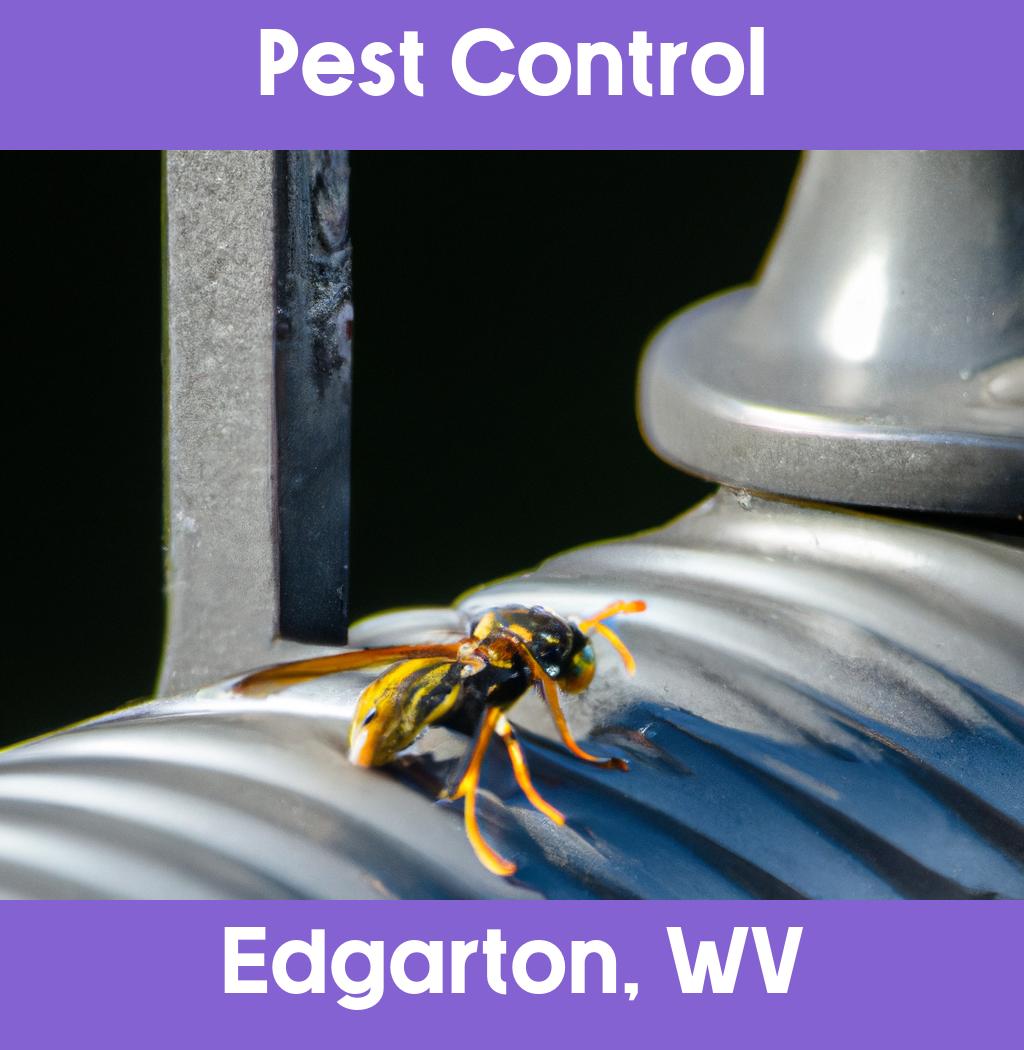 pest control in Edgarton West Virginia