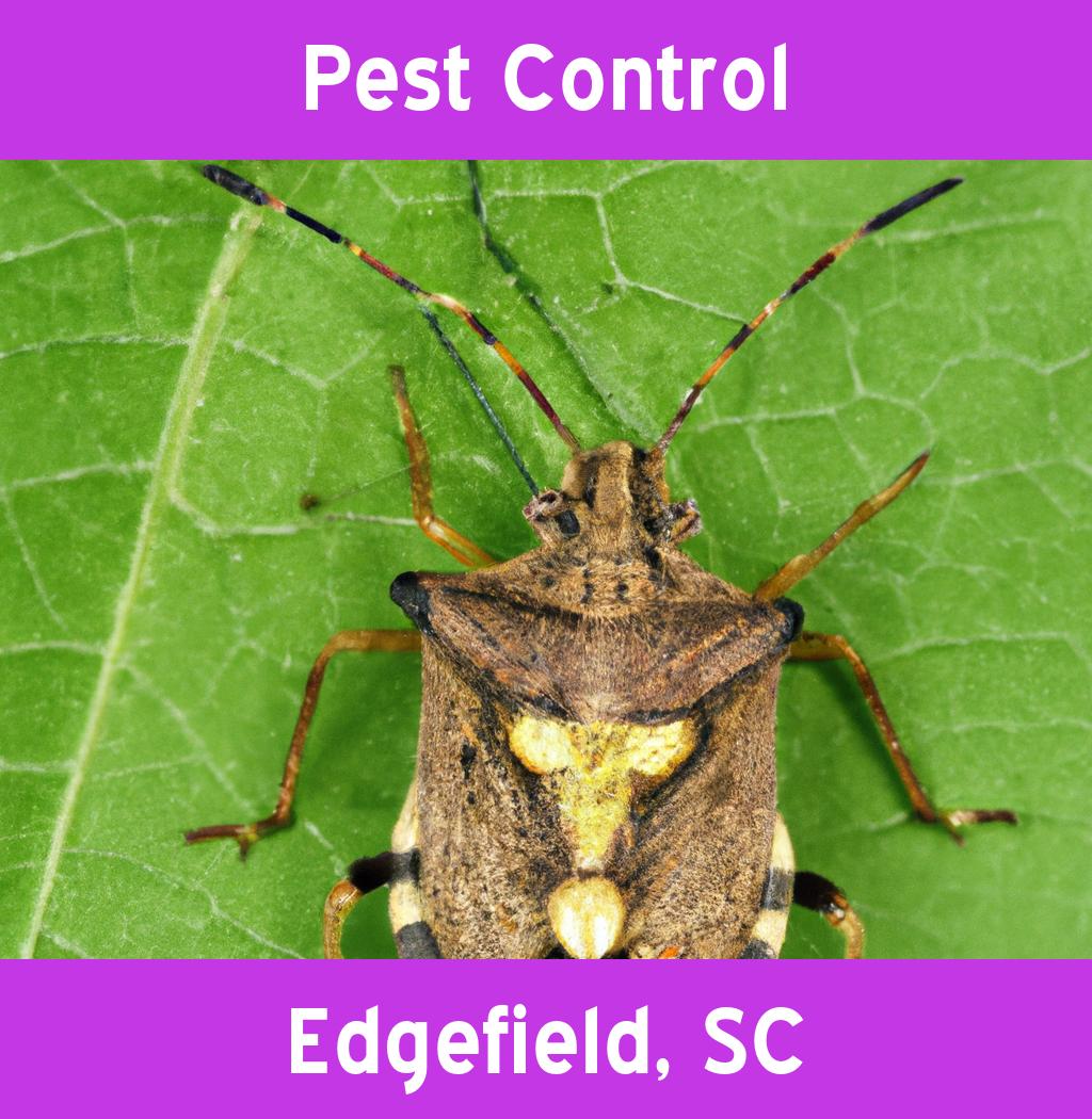 pest control in Edgefield South Carolina