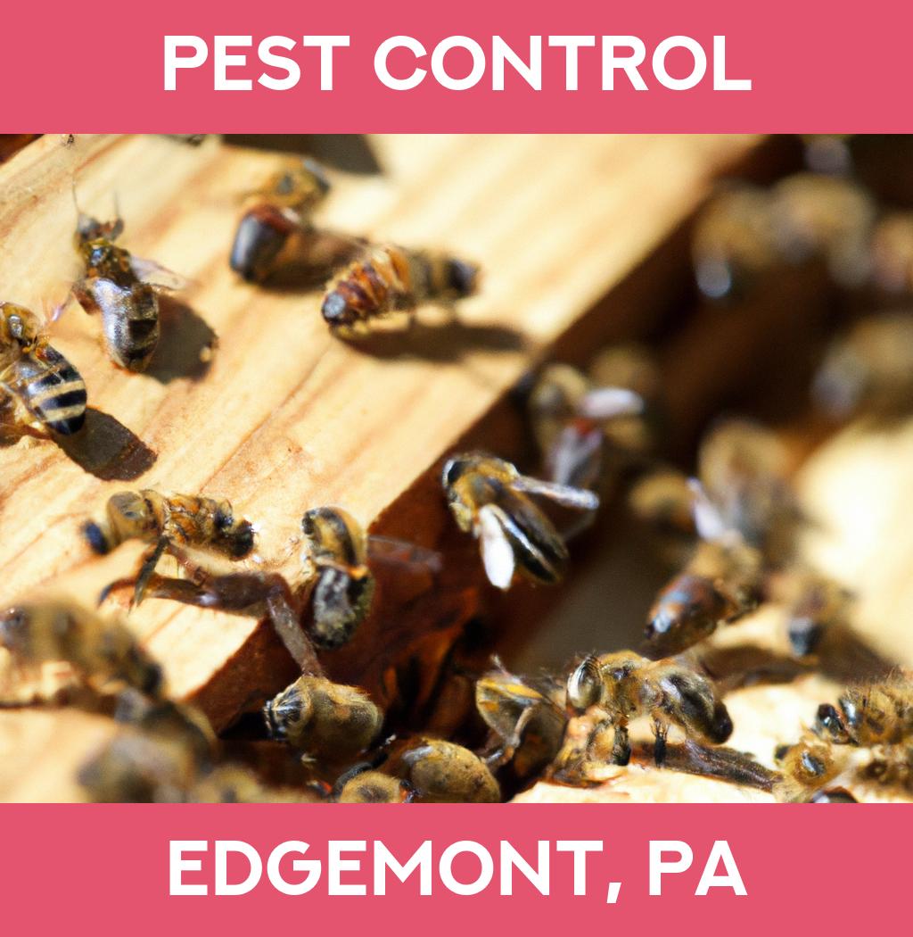 pest control in Edgemont Pennsylvania