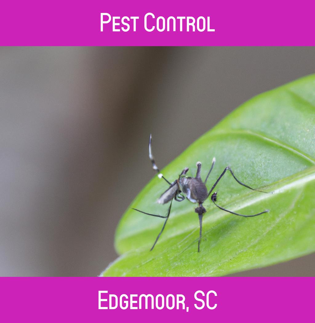 pest control in Edgemoor South Carolina