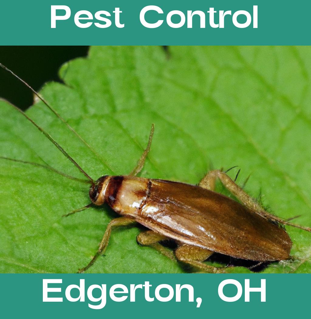 pest control in Edgerton Ohio