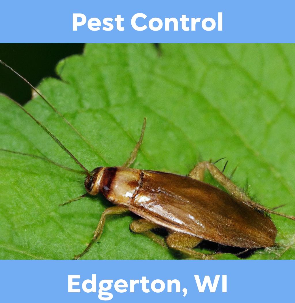 pest control in Edgerton Wisconsin