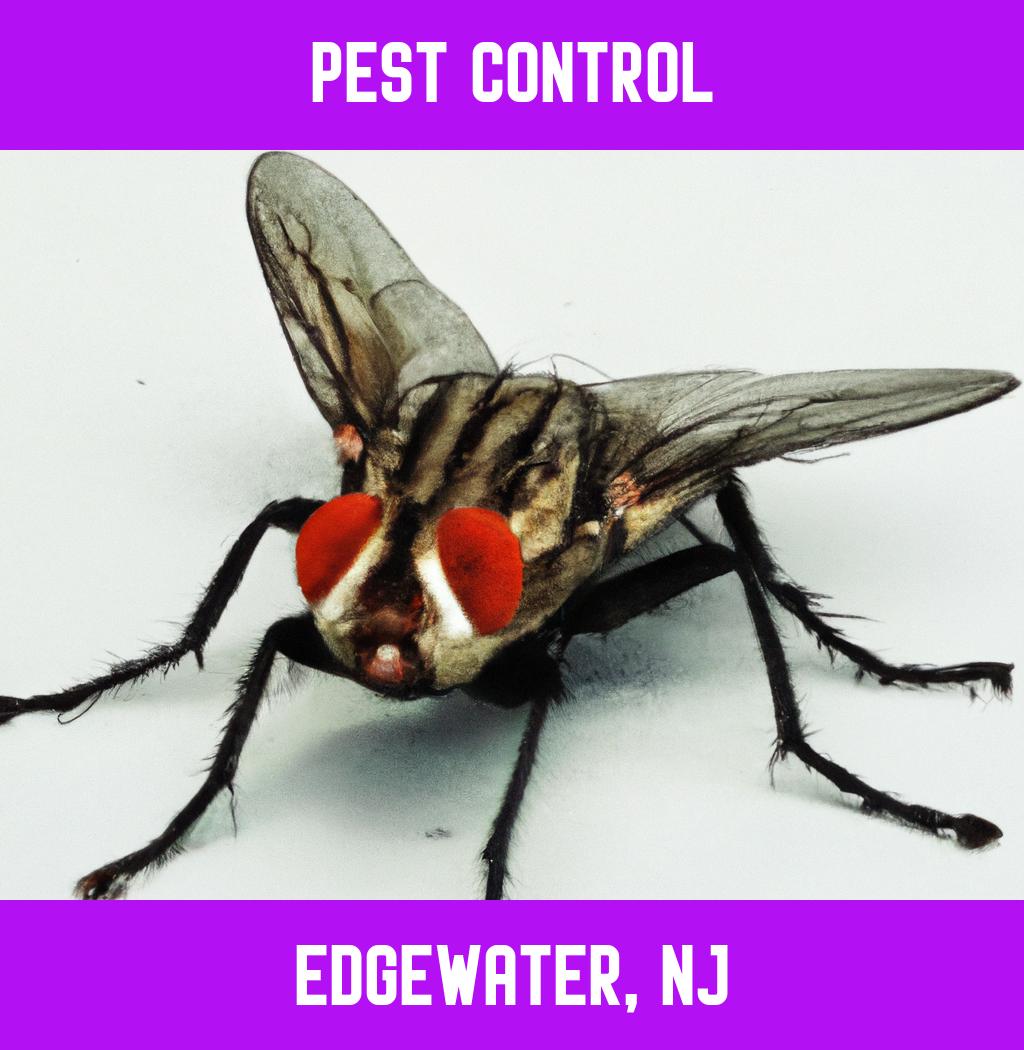 pest control in Edgewater New Jersey
