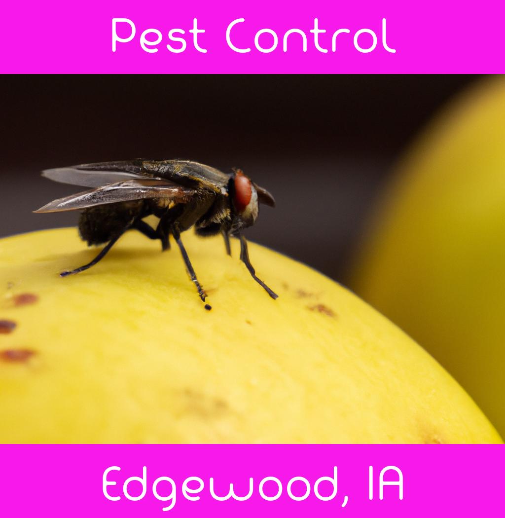 pest control in Edgewood Iowa