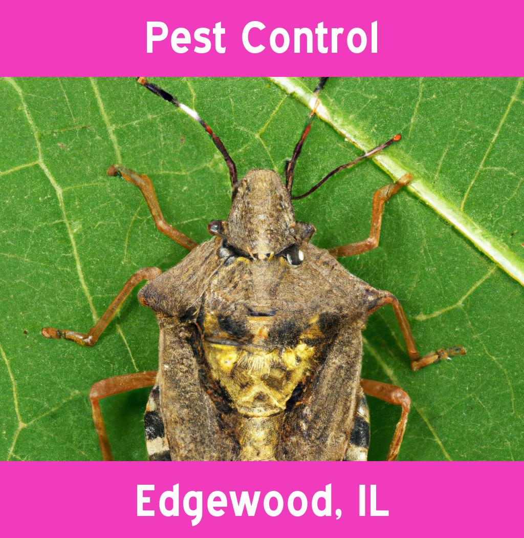 pest control in Edgewood Illinois