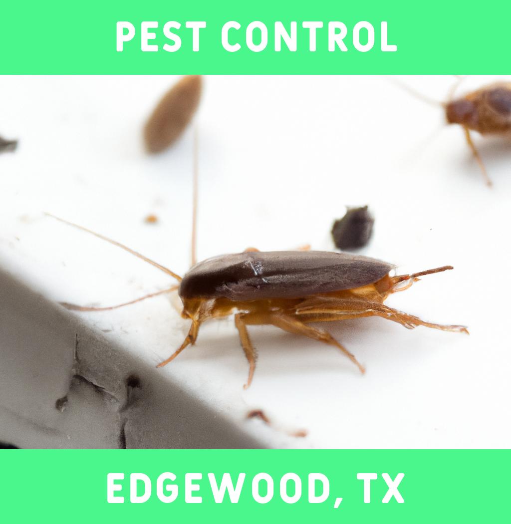 pest control in Edgewood Texas